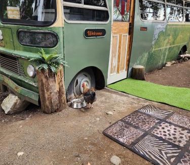 Southern Alquiler De Eote | Banksia Bus