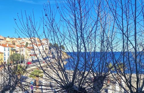 Banyuls-sur-Mer Apartamento | BANYULS, T3 climatisé à 50m de la plage, en centre-ville - FR-1-309-9
