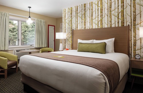 Bar Harbor Hotel | Bar Harbor Motel