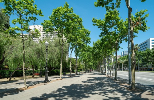Sarria Apartamento | Barcelona C. de Fontcoberta | Economy Double Room