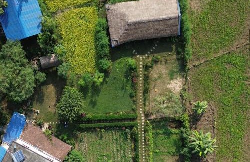 Bardia Casa | Bardiya Eco Safary Homestay