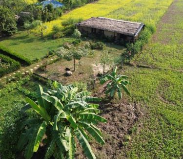 Bardia Casa | Bardiya Eco Safary Homestay