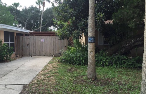 New Smyrna Beach Casa | Bearfoot Beach Bungalow! A pie de playa, río, intercoastal y Flagler Ave