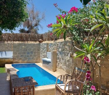 Yusuf as-Sidiq Casa | Barefoot by Barefoot in Tunis
