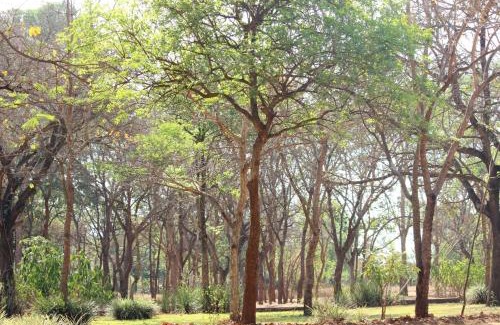 Chitedze Cabina | Barefoot Lodge and Safaris - Malawi