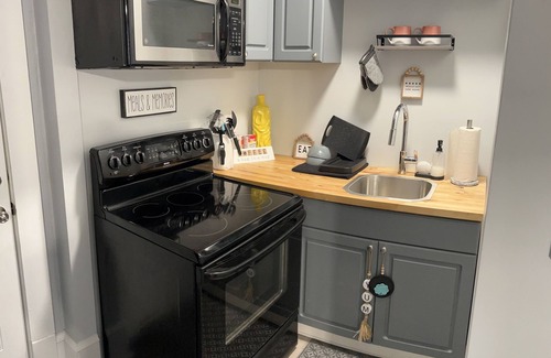 Sunset Park Apartamento | Barking Allowed! Pet friendly studio, located right next to dog spa!