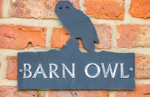 Louth Casa | Barn Owl