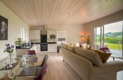 Newtown Cabaña | Barn Owl Lodge-QU7487