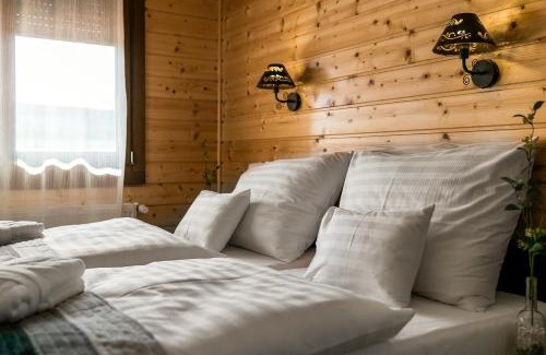 Demjen Hotel | Barrico Thermal Hotel
