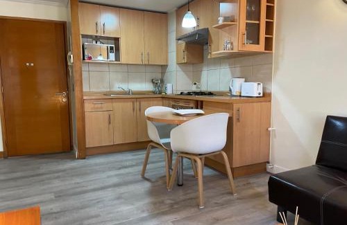 Lastarria Apartamento | Barrio Lastarria, Excelentes Apartamentos - Sofia Camilla Propiedades
