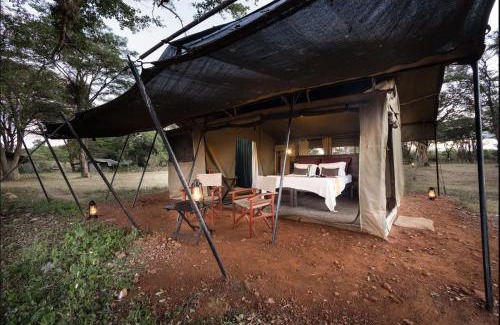Talek Otro | Basecamp Adventure
