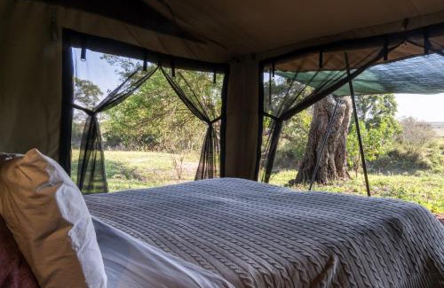 Talek Otro | Basecamp Adventure
