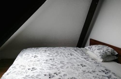 Binningen Casa | Basel Rühige Zimmer mit grösse Doppelbett