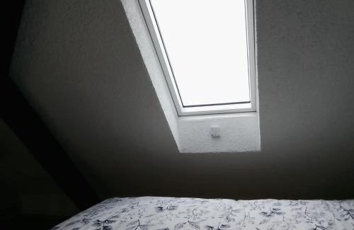 Binningen Casa | Basel Rühige Zimmer mit grösse Doppelbett