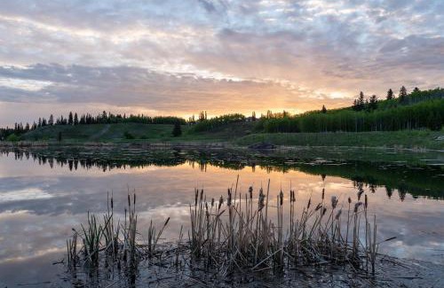 Cranston Casa | Basement Suite in Calgary - Short Drive to Banff