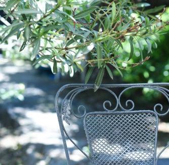 East Mani Casa | Basil Tree Stonehouse