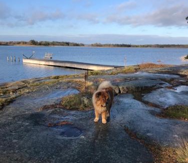 Finstrom Casa | Bastöstugby stuga 17