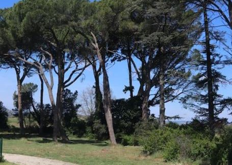 Saint-Paul-Trois-Chateaux Casa | Bastide Juliana