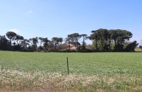 Saint-Paul-Trois-Chateaux Casa | Bastide Juliana