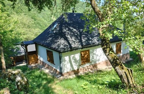 Salciua de Jos Casa | BATS CAVE HUT - Transylvania - Hot-Tub - Sauna