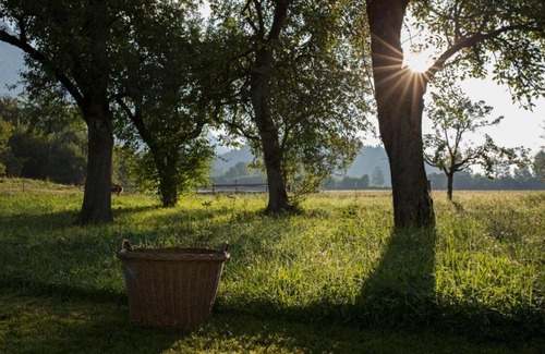 Scheffau am Wilden Kaiser Cama Y Desayuno | Bauernhof Lindenhof