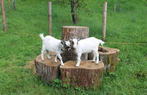 Nussdorf am Attersee Casa | Bauernhof Familie Knoblechner