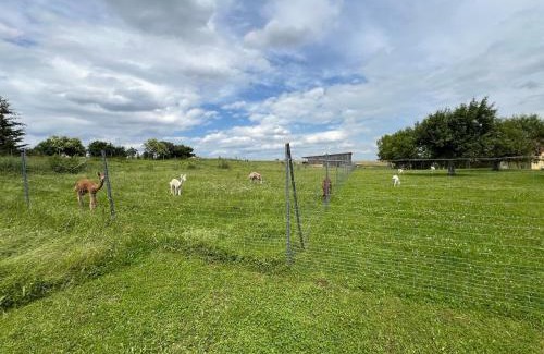 Dettenheim Apartamento | Bauernhof Glamping mit Alpakas und Ziegen