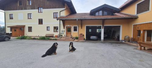 Koppl Apartamento | Bauernhof-Loft Edtgut