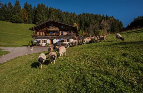 Ellmau Apartamento | Bauernhof Mühltalhof