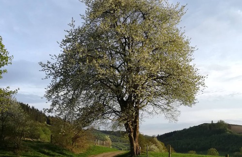 Lennestadt Casa | Bauernhof Pension Wiebelhaus Mester