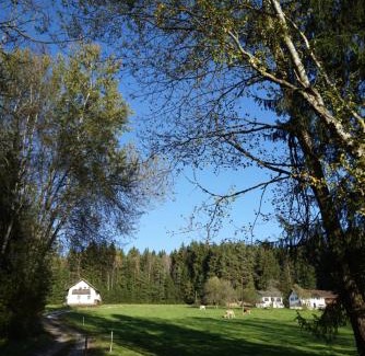 Regen Otro | Baumzelt am Waldesrand