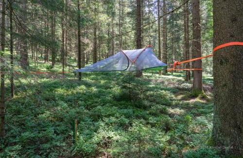 Regen Otro | Baumzelt am Waldesrand