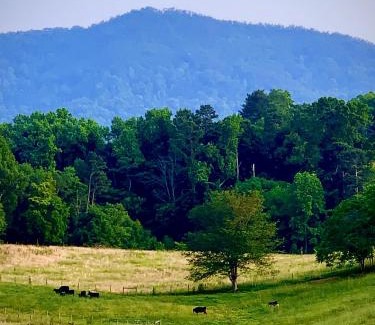 Dandridge Casa | Baxter Farmhouse
