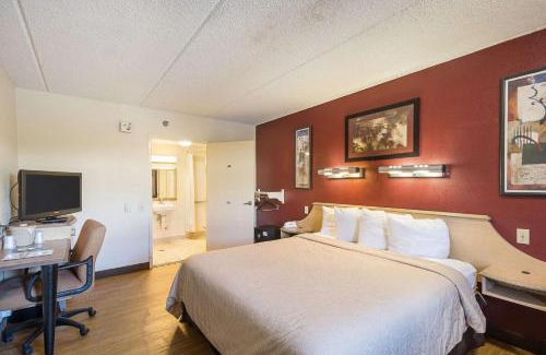 Bearss Plaza Hotel | Bay Inn On Busch