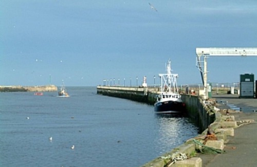 Amble Cabaña | Bay View Sleeps 6 (3 Bedrooms)