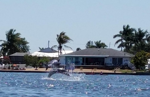 Matlacha Isles-Matlacha Shores Cama Y Desayuno | Bayview BnB