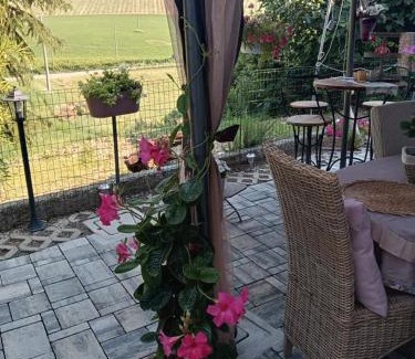 Castelvetro di Modena Cama Y Desayuno | BB Lady