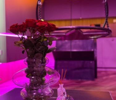 Lodz Apartamento | BDSM SWING KLIMA TOP Jakośc, Apartament Idelny na Prezent ,Lustra wszedzie ,SUPER wygodne łóżko , huśtawka , tylko dla dorosłych ADULTS ONLY Parking w cenie