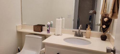 Palmdale Casa | Be Our Guest-Shared Home Tampa