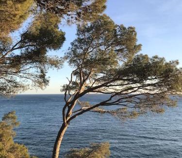 Llafranc Apartamento | Beach apartment overseeing the sea