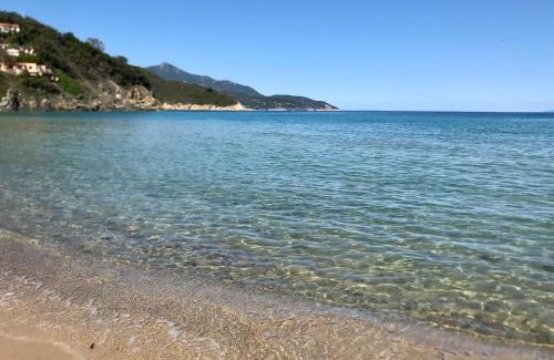 Biodola Apartamento | Beach apartments Isola d'Elba