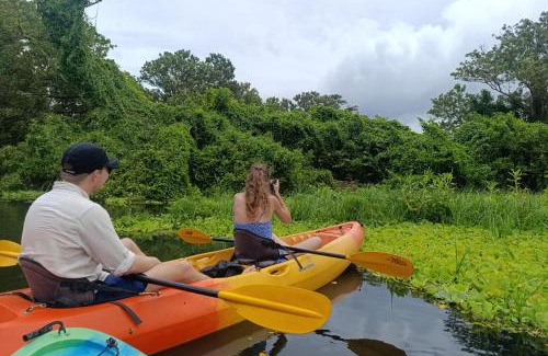 Ometepe Island Casa | Beach & forest scape