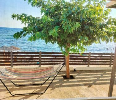 Skafidia Casa | Beach front house at Agios Ilias Pyrgos Near Ancient Olympia