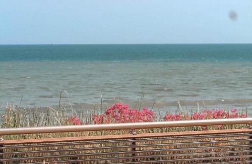 El Palmar Apartamento | Beach Front One Room Apartment