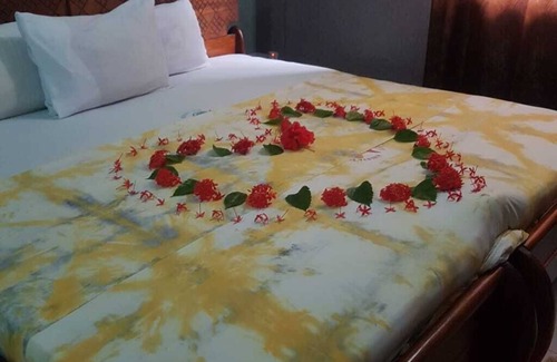 Elmina Cama Y Desayuno | El palacio de Alberta