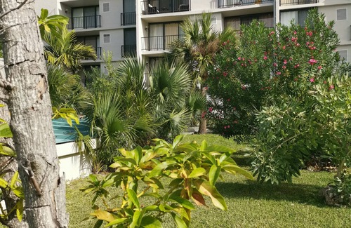 Williams Town Condominio | Estudio frente al mar en alquiler en Freeport Grand Bahamas, Port Lucaya