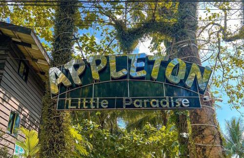 Real Hotel | BEACH HOUSE - Appleton Liitle Paradise Beach Resort & Restaurant
