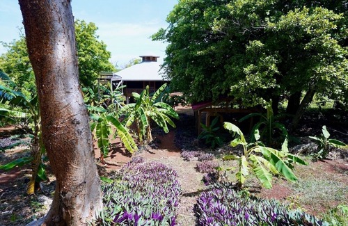 Guanaja Casa | Beach house in st Helene. Same property as channel bar and grill.