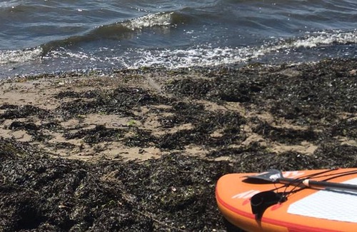 Hamworthy Casa | Beach Point