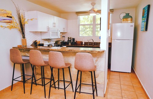Zarzal Apartamento | Playa Exclusiva. Piscina. Bosque Tropical El Yunque. Biobay. Golf. Seguridad.